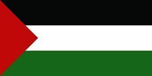 Le « drapeau palestinien »